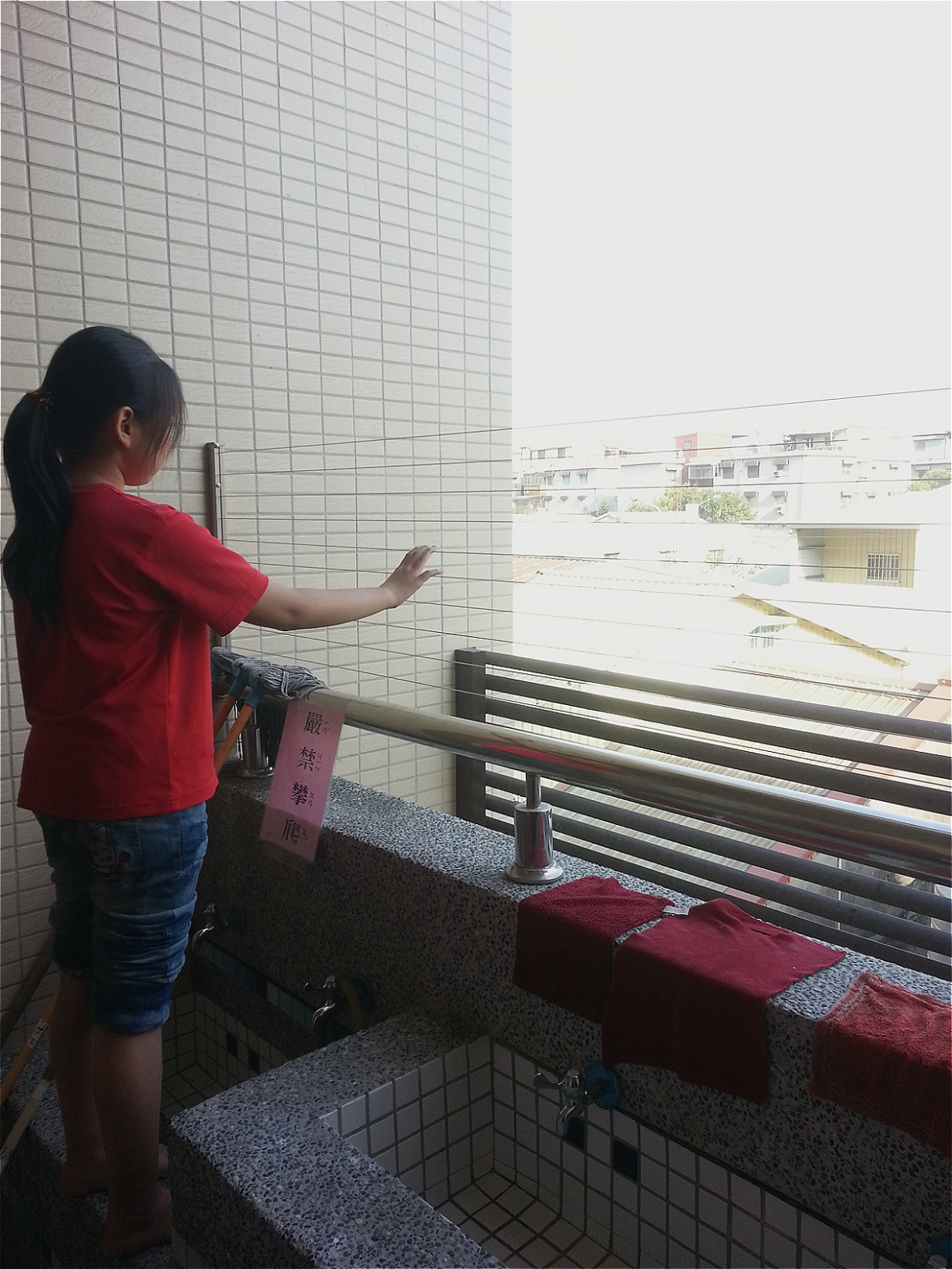 2013-02-25-高雄市前鎮區-仁愛國小-防墜網1